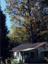 pl_cabin