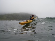 Ellen surfing websize