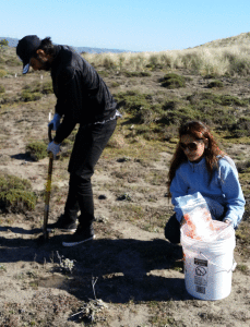 20150306_144422_Marriam+Mohsin_sample_soil_BMR_dunes