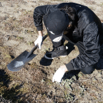 20150306_150748_Mohsin_seeks_seedlings